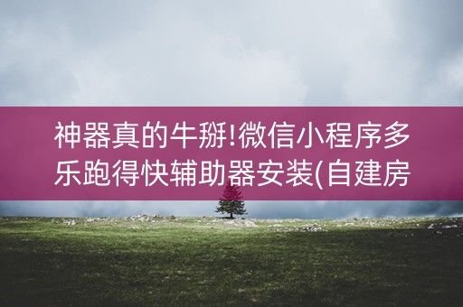 神器真的牛掰!微信小程序多乐跑得快辅助器安装(自建房怎么赢)