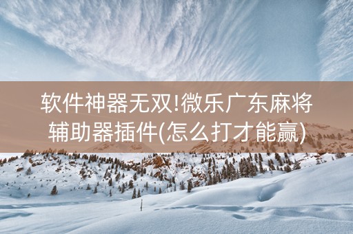 软件神器无双!微乐广东麻将辅助器插件(怎么打才能赢)