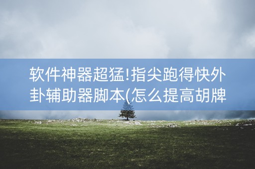 软件神器超猛!指尖跑得快外卦辅助器脚本(怎么提高胡牌率)