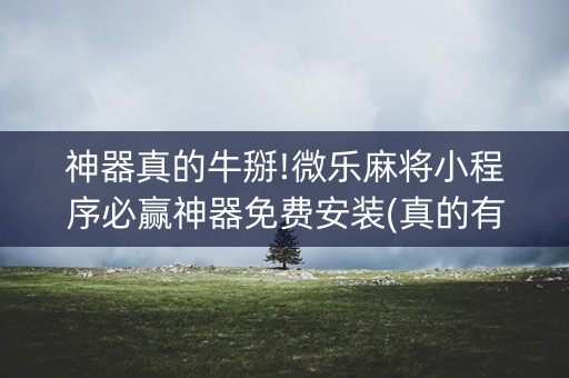 神器真的牛掰!微乐麻将小程序必赢神器免费安装(真的有挂确实有挂)