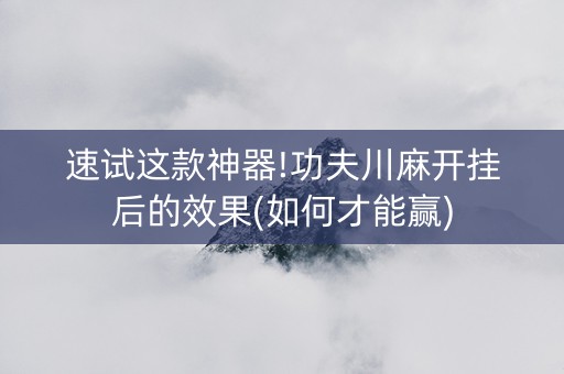 速试这款神器!功夫川麻开挂后的效果(如何才能赢)