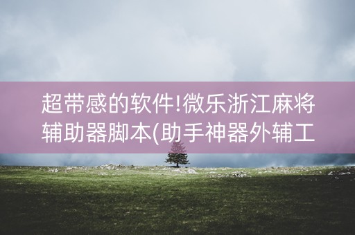 超带感的软件!微乐浙江麻将辅助器脚本(助手神器外辅工具)