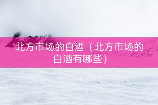 北方市场的白酒（北方市场的白酒有哪些）