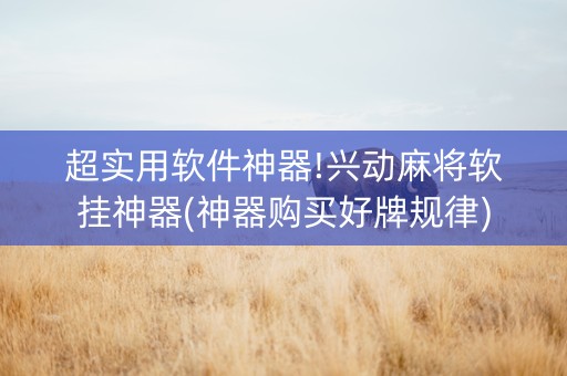 超实用软件神器!兴动麻将软挂神器(神器购买好牌规律)