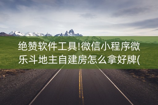 绝赞软件工具!微信小程序微乐斗地主自建房怎么拿好牌(辅助器通用版)