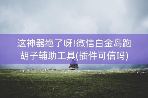 这神器绝了呀!微信白金岛跑胡子辅助工具(插件可信吗)
