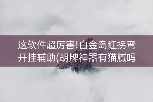 这软件超厉害!白金岛红拐弯开挂辅助(胡牌神器有猫腻吗)