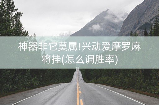 神器非它莫属!兴动爱摩罗麻将挂(怎么调胜率)