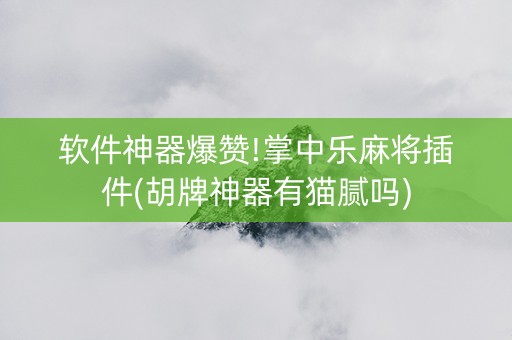 软件神器爆赞!掌中乐麻将插件(胡牌神器有猫腻吗)
