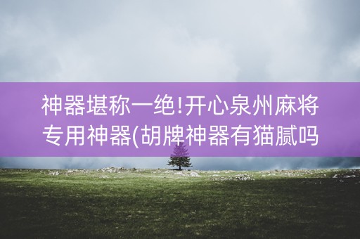 神器堪称一绝!开心泉州麻将专用神器(胡牌神器有猫腻吗)