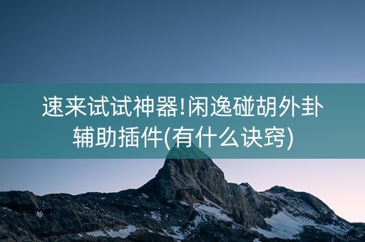 速来试试神器!闲逸碰胡外卦辅助插件(有什么诀窍)