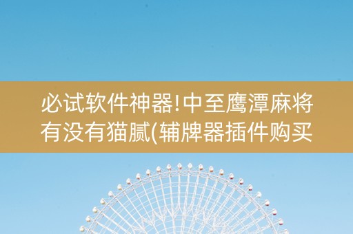 必试软件神器!中至鹰潭麻将有没有猫腻(辅牌器插件购买)