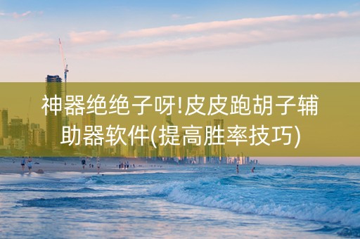 神器绝绝子呀!皮皮跑胡子辅助器软件(提高胜率技巧)