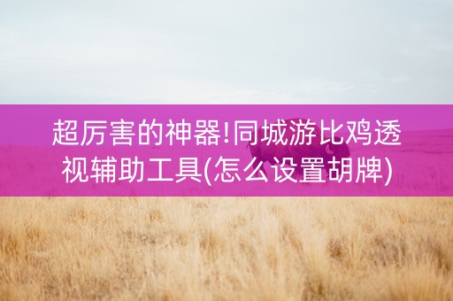 超厉害的神器!同城游比鸡透视辅助工具(怎么设置胡牌)