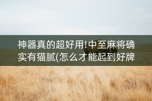 神器真的超好用!中至麻将确实有猫腻(怎么才能起到好牌)
