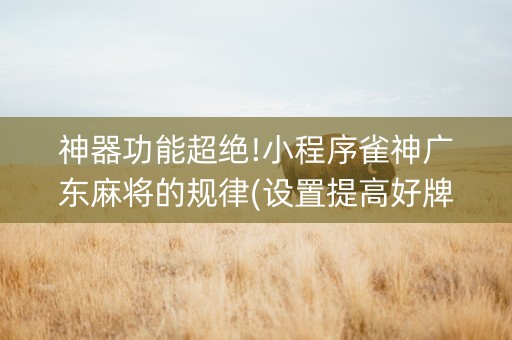 神器功能超绝!小程序雀神广东麻将的规律(设置提高好牌几率)