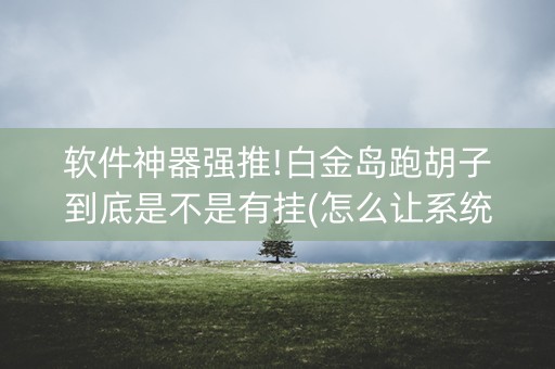 软件神器强推!白金岛跑胡子到底是不是有挂(怎么让系统发好牌)