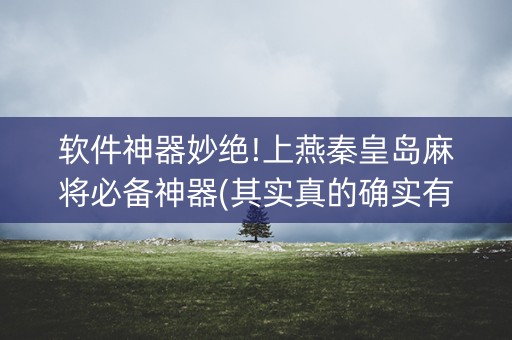 软件神器妙绝!上燕秦皇岛麻将必备神器(其实真的确实有挂)