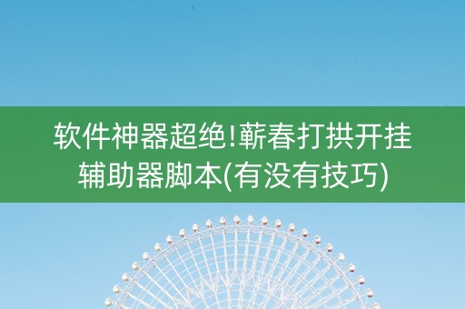 软件神器超绝!蕲春打拱开挂辅助器脚本(有没有技巧)
