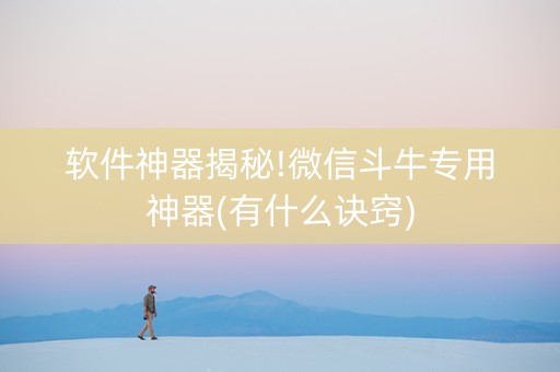 软件神器揭秘!微信斗牛专用神器(有什么诀窍)