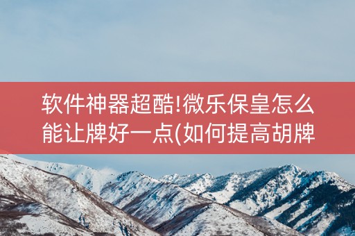 软件神器超酷!微乐保皇怎么能让牌好一点(如何提高胡牌率)