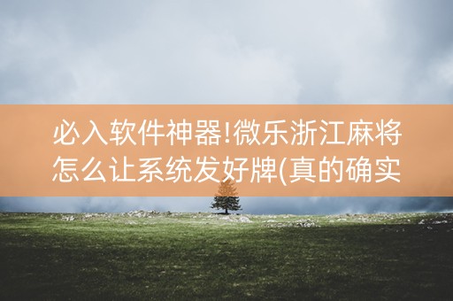 必入软件神器!微乐浙江麻将怎么让系统发好牌(真的确实是有挂)