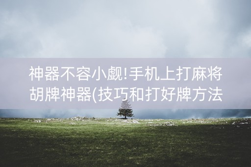 神器不容小觑!手机上打麻将胡牌神器(技巧和打好牌方法)