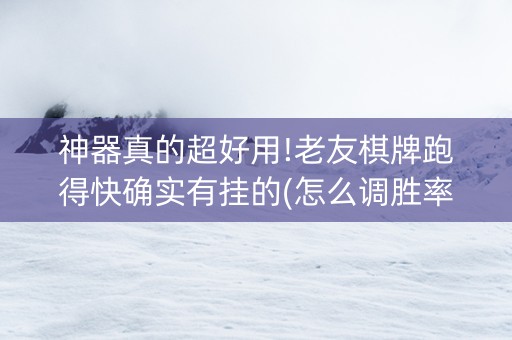 神器真的超好用!老友棋牌跑得快确实有挂的(怎么调胜率)