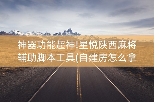 神器功能超神!星悦陕西麻将辅助脚本工具(自建房怎么拿好牌)