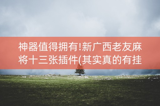 神器值得拥有!新广西老友麻将十三张插件(其实真的有挂)