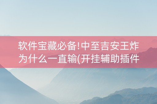 软件宝藏必备!中至吉安王炸为什么一直输(开挂辅助插件)