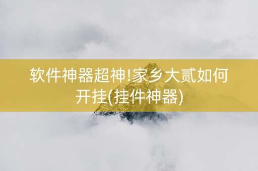 软件神器超神!家乡大贰如何开挂(挂件神器)