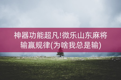 神器功能超凡!微乐山东麻将输赢规律(为啥我总是输)