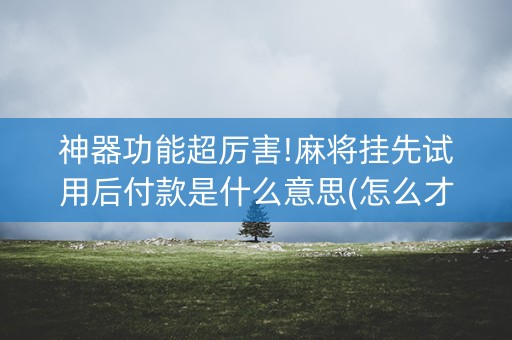神器功能超厉害!麻将挂先试用后付款是什么意思(怎么才能来好牌)