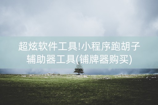 超炫软件工具!小程序跑胡子辅助器工具(铺牌器购买)