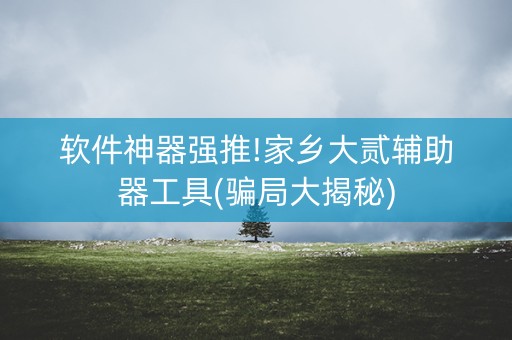 软件神器强推!家乡大贰辅助器工具(骗局大揭秘)