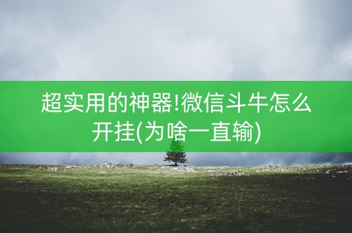 超实用的神器!微信斗牛怎么开挂(为啥一直输)