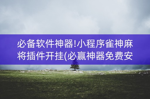 必备软件神器!小程序雀神麻将插件开挂(必赢神器免费安装)