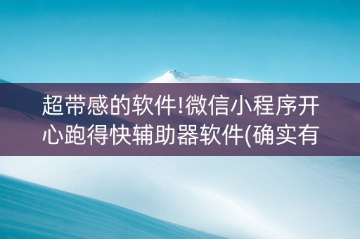 超带感的软件!微信小程序开心跑得快辅助器软件(确实有插件吗)