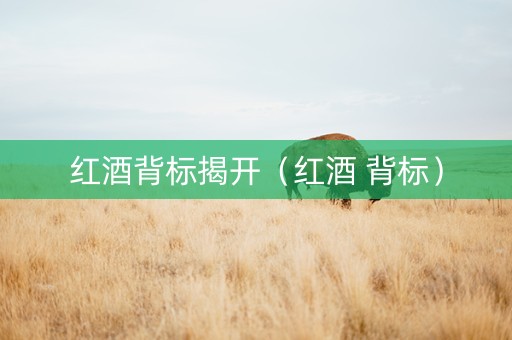 红酒背标揭开（红酒 背标）