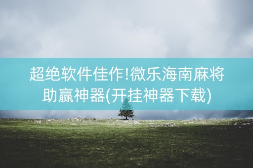 超绝软件佳作!微乐海南麻将助赢神器(开挂神器下载)