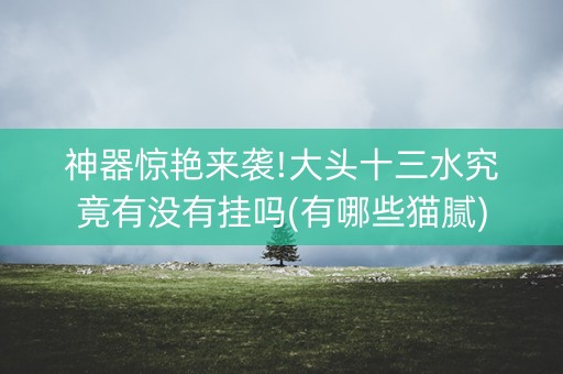 神器惊艳来袭!大头十三水究竟有没有挂吗(有哪些猫腻)