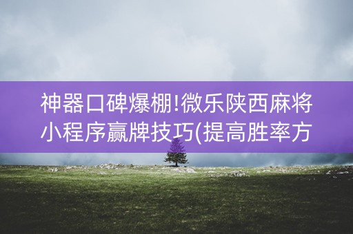 神器口碑爆棚!微乐陕西麻将小程序赢牌技巧(提高胜率方法)