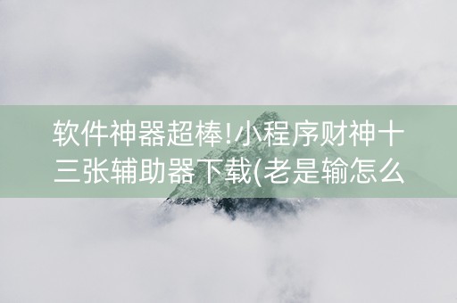 软件神器超棒!小程序财神十三张辅助器下载(老是输怎么办)
