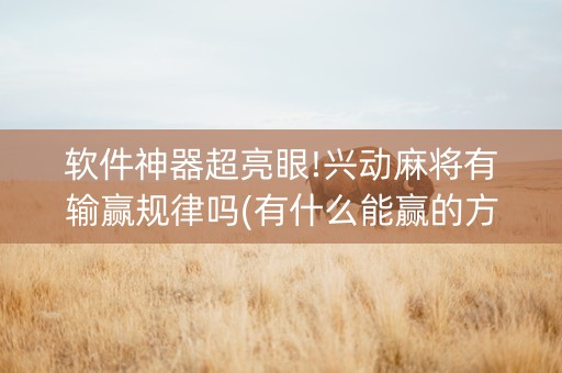 软件神器超亮眼!兴动麻将有输赢规律吗(有什么能赢的方法)