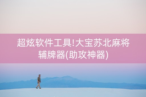 超炫软件工具!大宝苏北麻将辅牌器(助攻神器)