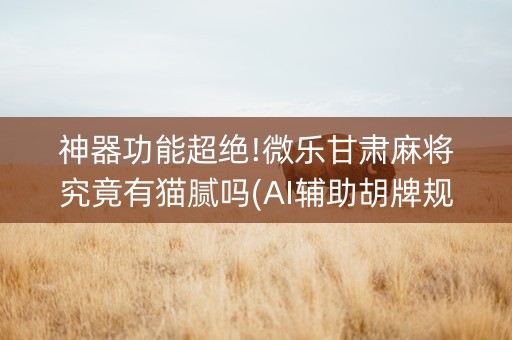 神器功能超绝!微乐甘肃麻将究竟有猫腻吗(AI辅助胡牌规则)
