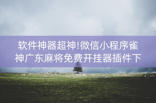 软件神器超神!微信小程序雀神广东麻将免费开挂器插件下载(怎么打赢的几率大)