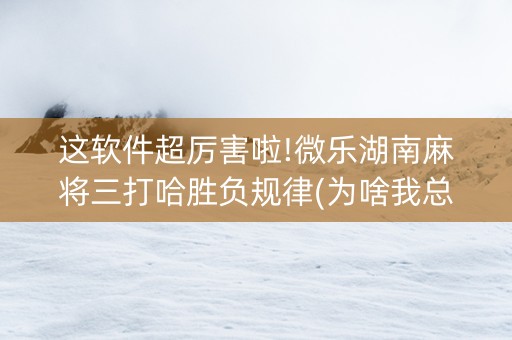 这软件超厉害啦!微乐湖南麻将三打哈胜负规律(为啥我总是输)