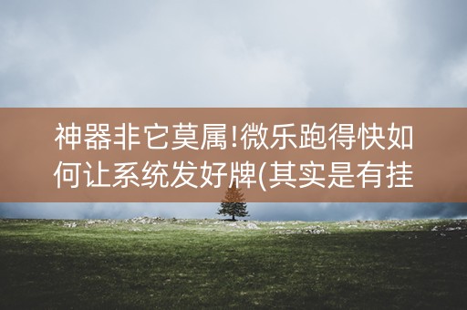神器非它莫属!微乐跑得快如何让系统发好牌(其实是有挂确实有挂)